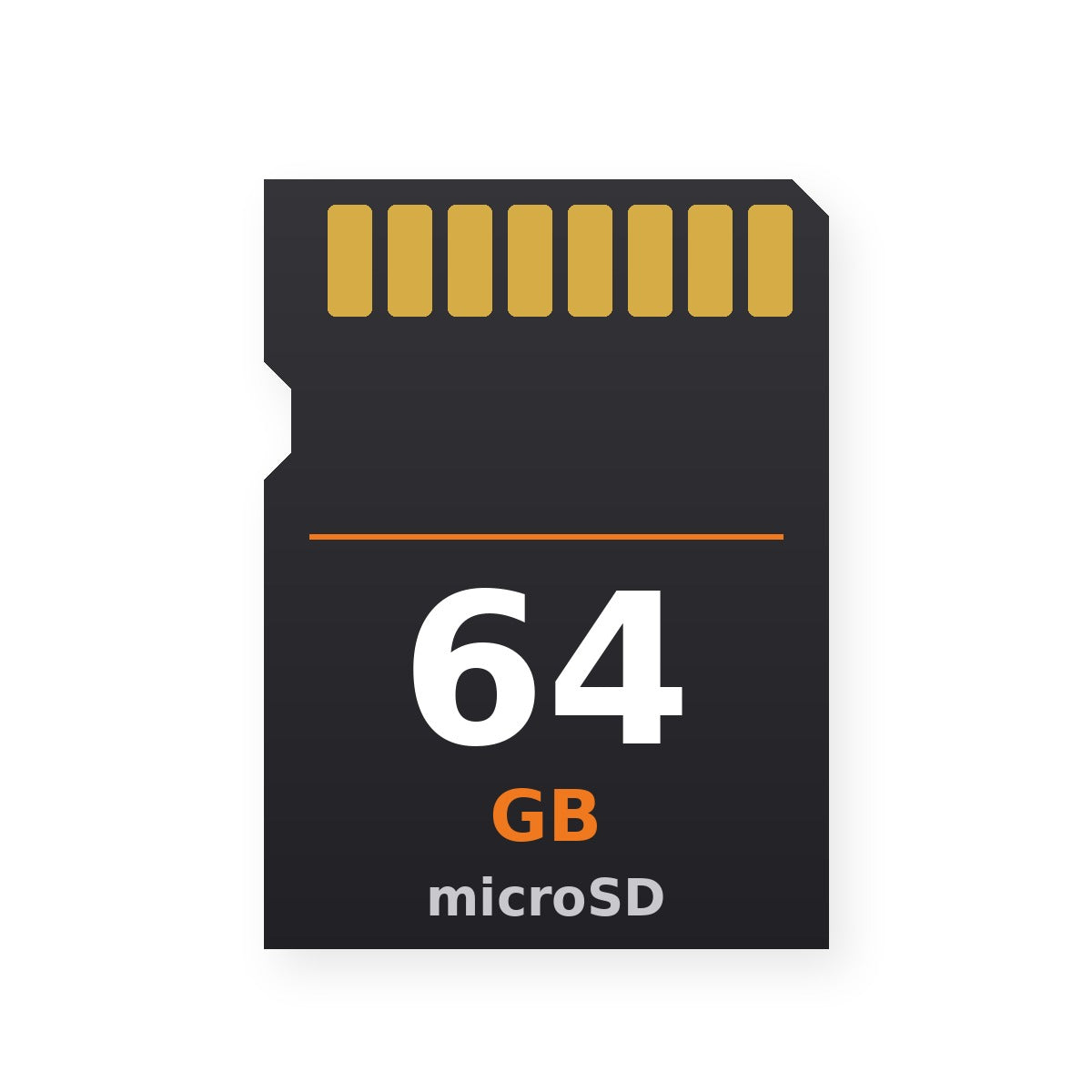 Micro SD Card 64GB